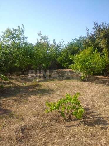 Satılır  torpaq 12 sot, Novxanı q., photo 3 from 7
