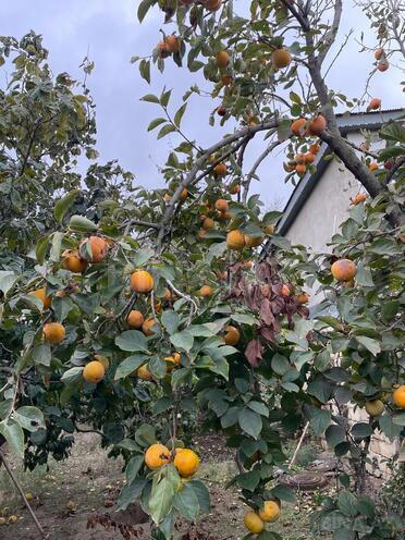 Продаётся 6-комн. дом/дача 210 м², пос. Новханы, photo 4 from 32