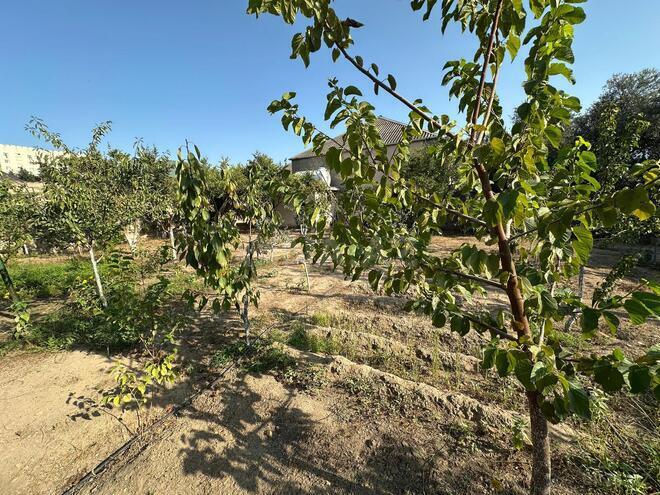 Satılır 5 otaqlı həyət evi/bağ evi 120 m², Buzovna q., photo 29 from 32