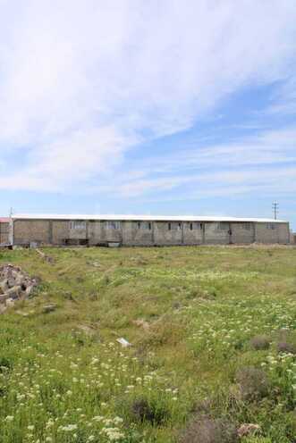 Продаётся  объект 1 365 м², пос. Бина, photo 12 from 13