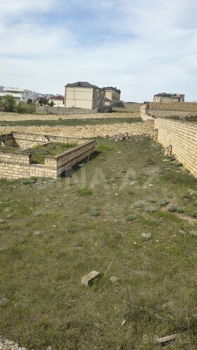 Продаётся  участок 20 сот, пос. Бадамдар, photo 6 from 7