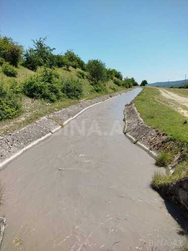 Satılır  torpaq 800 sot, photo 1 from 17