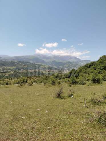 Satılır  torpaq 800 sot, photo 12 from 17