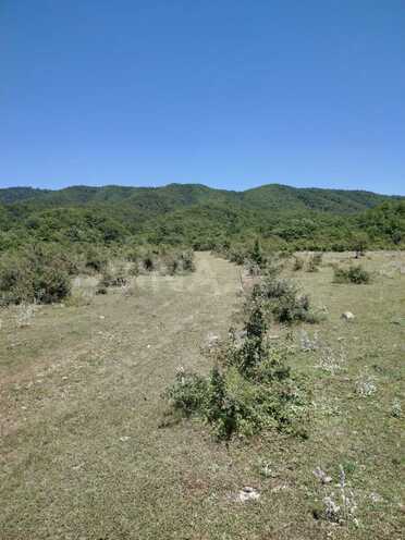 Satılır  torpaq 800 sot, photo 13 from 17