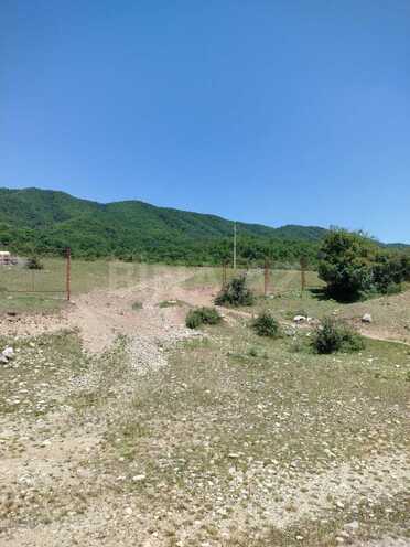 Satılır  torpaq 800 sot, photo 9 from 17