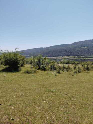 Satılır  torpaq 800 sot, photo 14 from 17