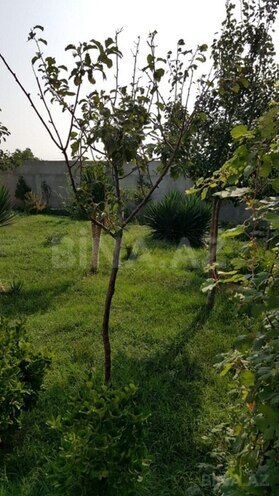 Сдаётся 5-комн. дом/дача 300 м², пос. Тюркан, photo 4 from 15