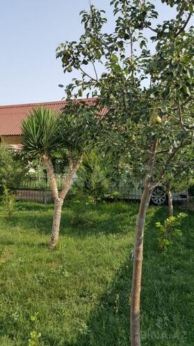 Сдаётся 5-комн. дом/дача 300 м², пос. Тюркан, photo 5 from 15