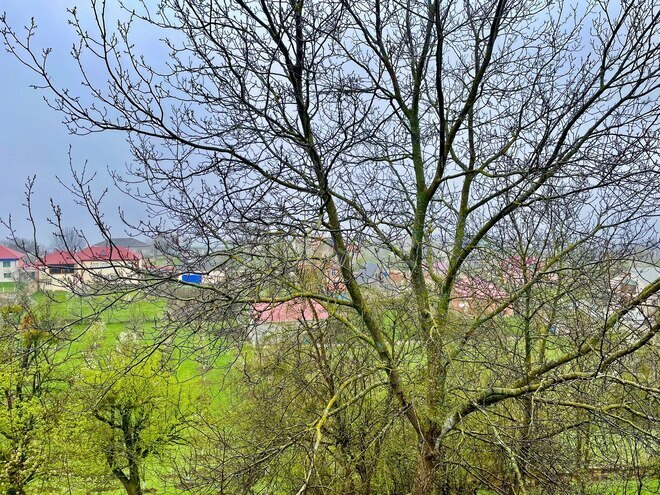 Satılır 4 otaqlı həyət evi/bağ evi 144 m², photo 4 from 14