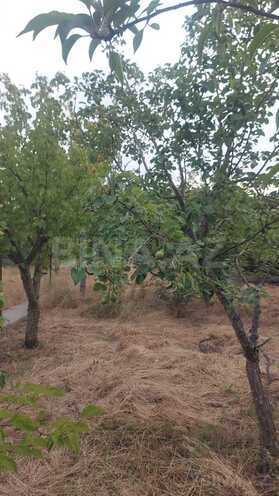 Satılır 6 otaqlı həyət evi/bağ evi 250 m², Novxanı q., photo 6 from 26