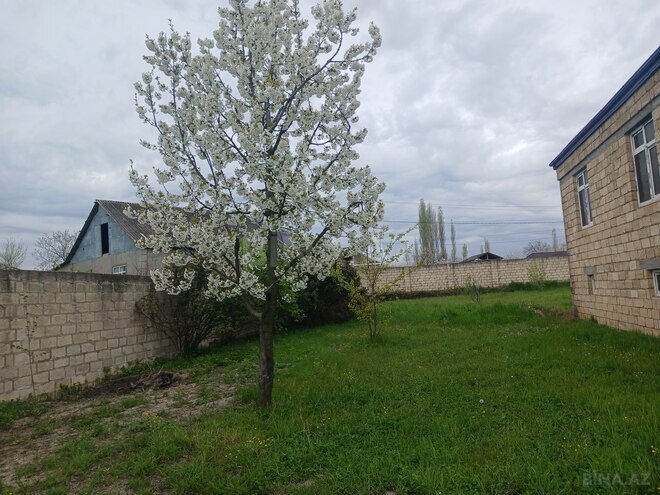 Продаётся 5-комн. дом/дача 160 м², Хачмазский р., photo 10 from 12