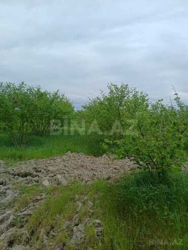 Satılır  torpaq 1.3 sot, Xaçmaz r., photo 1 from 9