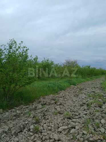 Satılır  torpaq 1.3 sot, Xaçmaz r., photo 6 from 9