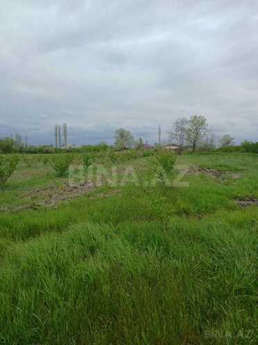 Satılır  torpaq 1.3 sot, Xaçmaz r., photo 8 from 9