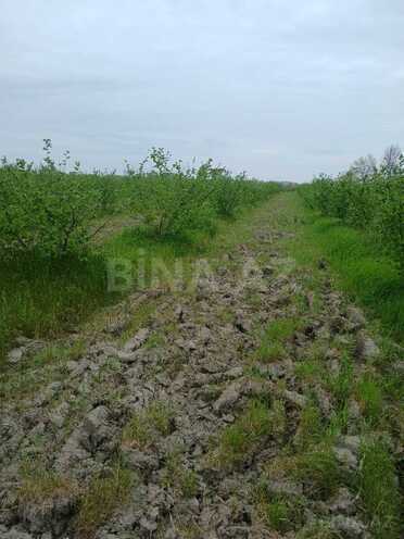 Satılır  torpaq 1.3 sot, Xaçmaz r., photo 3 from 9