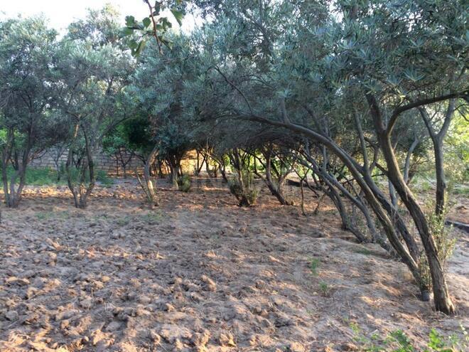 Продаётся 5-комн. дом/дача 240 м², пос. Новханы, photo 4 from 14