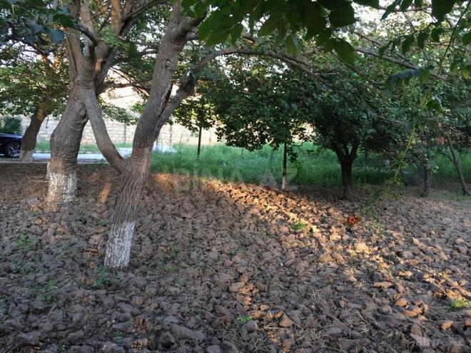 Продаётся 5-комн. дом/дача 240 м², пос. Новханы, photo 5 from 14