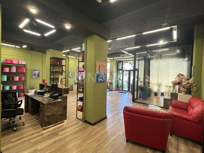 Продаётся  объект 160 м², м. Ази Асланов, photo 4 from 14