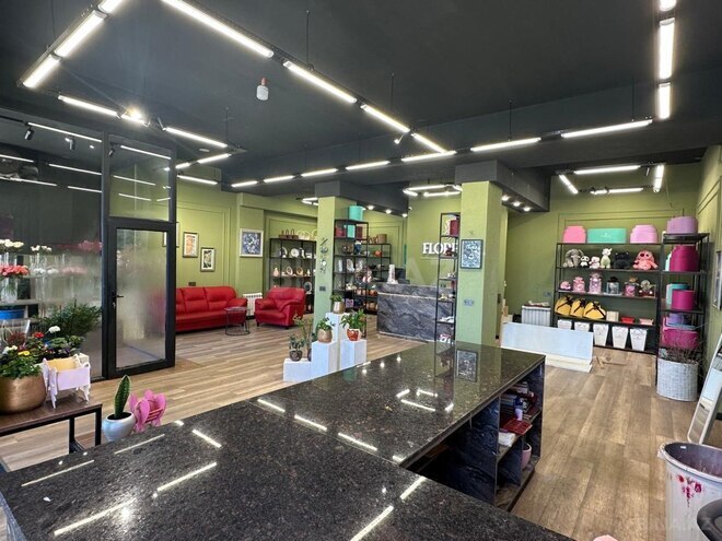 Продаётся  объект 160 м², м. Ази Асланов, photo 6 from 14