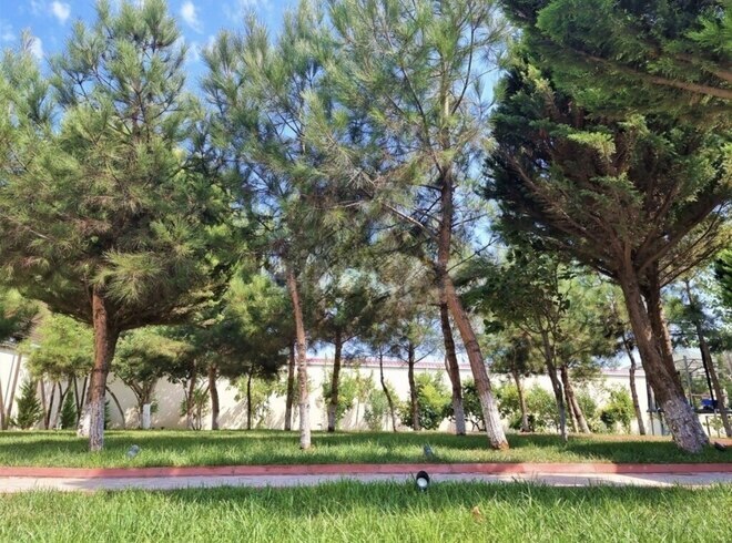 İcarəyə verilir 6 otaqlı həyət evi/bağ evi 550 m², Bilgəh q., photo 11 from 19