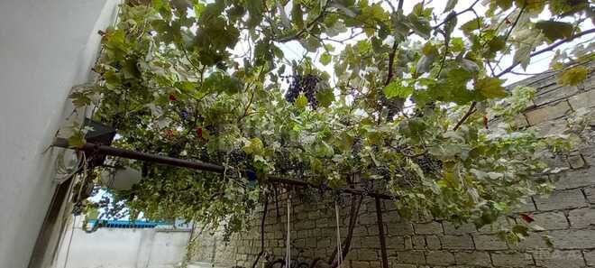 Satılır 4 otaqlı həyət evi/bağ evi 136 m², Mərdəkan q., photo 19 from 23