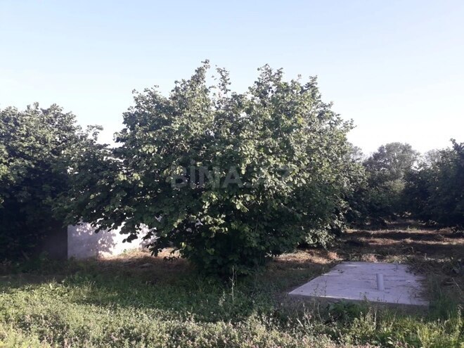 Продаётся 3-комн. дом/дача 65 м², photo 11 from 26