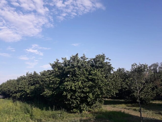 Продаётся 3-комн. дом/дача 65 м², photo 18 from 26