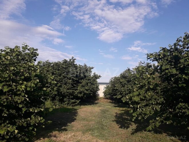 Продаётся 3-комн. дом/дача 65 м², photo 25 from 26