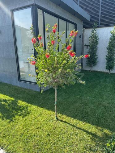 İcarəyə verilir 4 otaqlı həyət evi/bağ evi 240 m², Novxanı q., photo 7 from 32