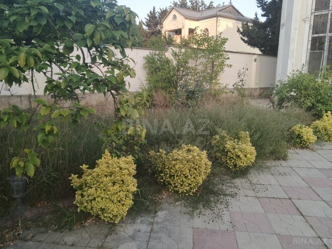 Продаётся  участок 40 сот, пос. Новханы, photo 4 from 8