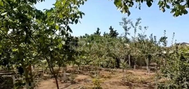Satılır  torpaq 12 sot, Görədil q., photo 3 from 6