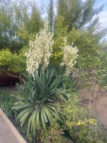 Продаётся 5-комн. дом/дача 220 м², пос. Новханы, photo 5 from 23