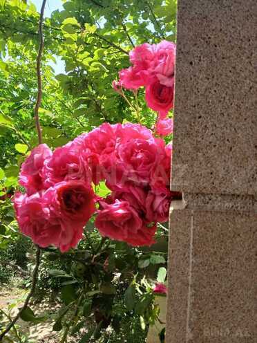 Продаётся 6-комн. дом/дача 400 м², пос. Новханы, photo 12 from 22