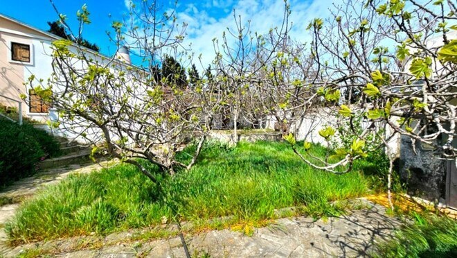 Продаётся  участок 25 сот, пос. Мардакан, photo 10 from 24