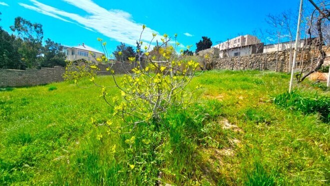 Продаётся  участок 25 сот, пос. Мардакан, photo 12 from 24