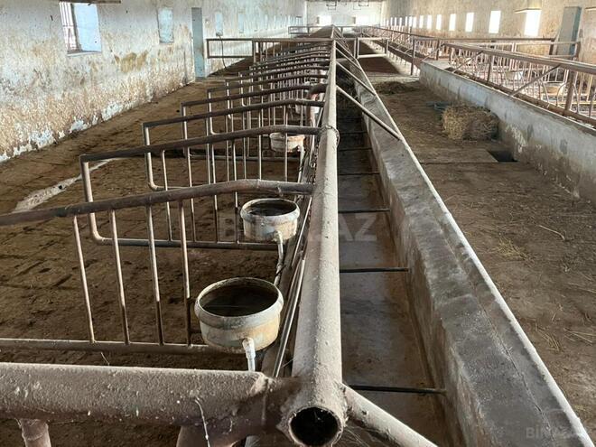 Продаётся  объект 1 700 м², photo 10 from 17