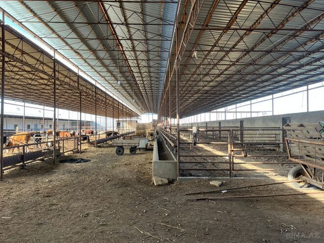 Продаётся  объект 1 700 м², photo 5 from 17