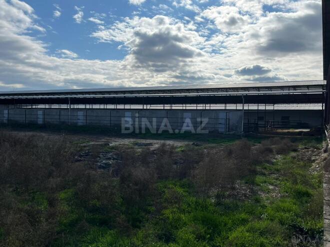 Продаётся  объект 1 700 м², photo 15 from 17