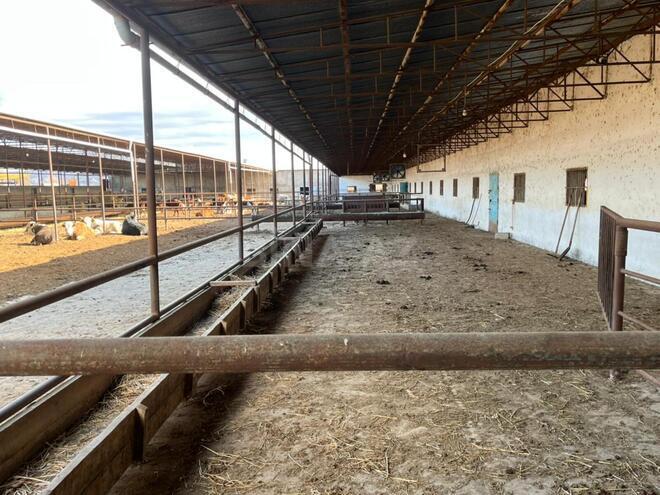 Продаётся  объект 1 700 м², photo 16 from 17