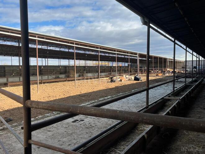 Продаётся  объект 1 700 м², photo 13 from 17