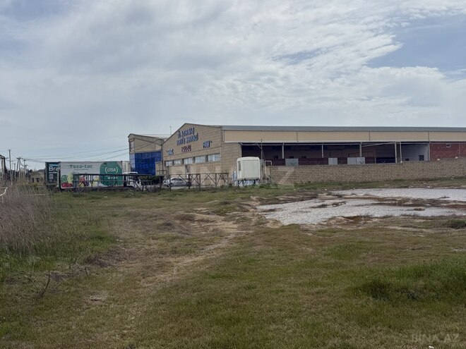 Продаётся  участок 255 сот, Абшеронcкий  р., photo 5 from 8