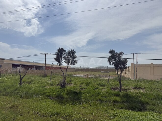 Продаётся  участок 255 сот, Абшеронcкий  р., photo 1 from 8