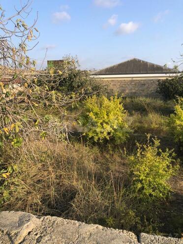 Продаётся  участок 12 сот, пос. Нардаран, photo 6 from 15