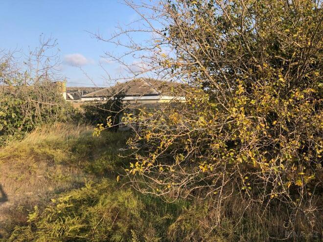 Продаётся  участок 12 сот, пос. Нардаран, photo 10 from 15