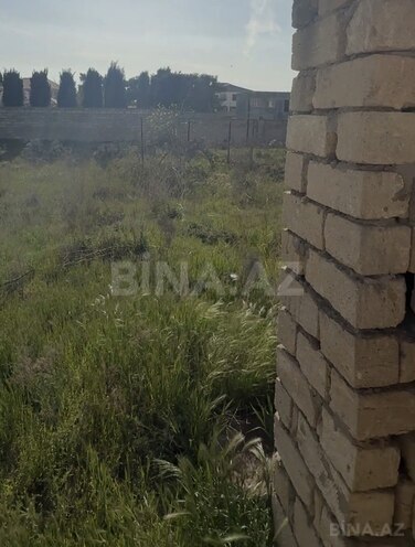 Продаётся  участок 12 сот, пос. Пиршаги, photo 3 from 7
