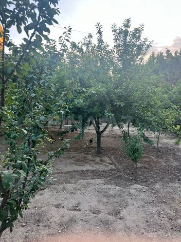 Продаётся 7-комн. дом/дача 400 м², пос. Новханы, photo 18 from 22