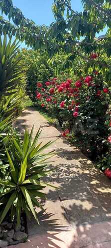 Сдаётся 5-комн. дом/дача 200 м², Сабунчинский  р., photo 25 from 31