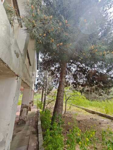 Продаётся  участок 25 сот, пос. Бильгях, photo 14 from 18