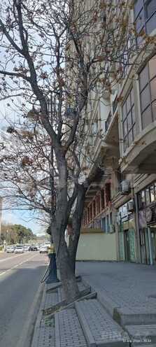 Satılır 2 otaqlı yeni tikili 105 m², Nərimanov r., photo 6 from 7