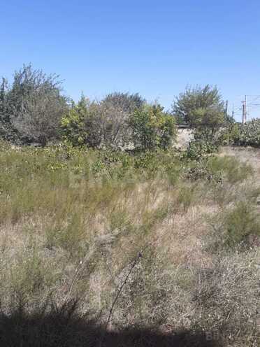 Satılır  torpaq 15 sot, Novxanı q., photo 7 from 9